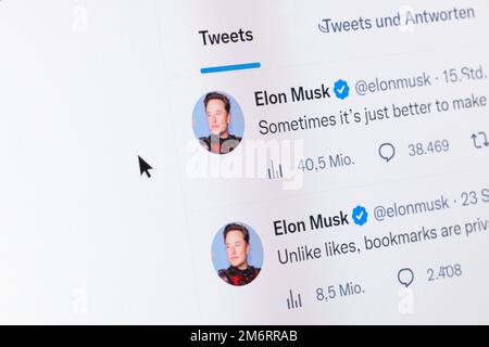 Elon Musk, imprenditore, sito web, Twitter, rete sociale, Schermata, dettaglio Foto Stock