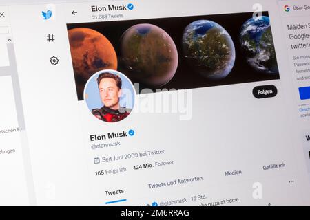 Elon Musk, imprenditore, sito web, Twitter, rete sociale, Schermata, dettaglio Foto Stock