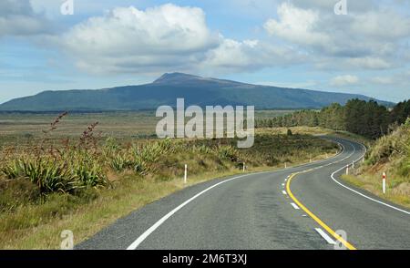 Strada a Tongariro NP, Nuova Zelanda Foto Stock