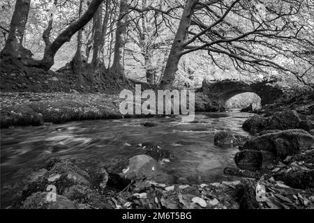 Il fiume d'acqua di Weir che scorre sotto il ponte Robbers nel Parco Nazionale di Exmoor Foto Stock