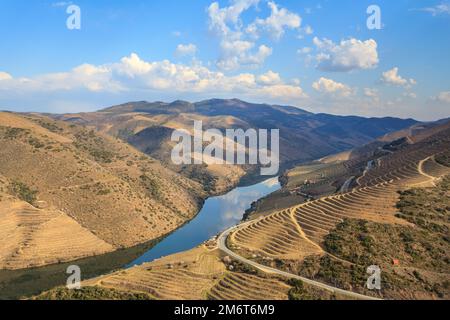 La valle del Douro con il suo fiume e i suoi vigneti coltivati a terrazze sulle montagne. Superbo cielo nuvoloso riflesso nelle acque del fiume. Foto Stock