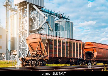 Caricamento dei carrelli ferroviari sull'elevatore della granella Foto Stock