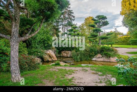 Torrente artificiale e pini topiari e grandi rocce al tramonto nel giardino giapponese come parte del parco Nord Foto Stock