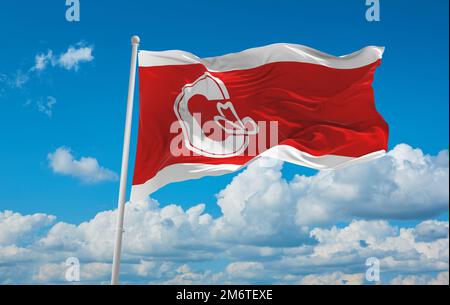 Bandiera ufficiale di Calgary, Alberta Canada su sfondo cielo nuvoloso al tramonto, vista panoramica. Viaggio canadese e concetto patriota. spazio di copia per ampio Foto Stock