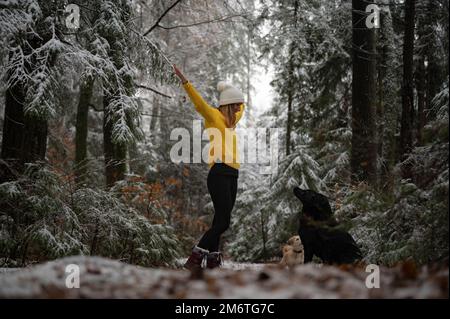 Allegra giovane donna in vivace maglione giallo in piedi con le braccia sollevate in una bella foresta invernale con i suoi tre cani. Foto Stock