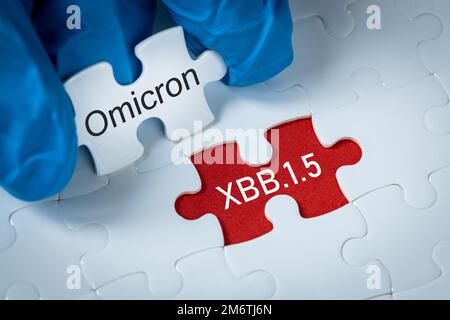 2023 anno, Kraken, variante novel coronavirus Covid-19, Omicron Xbb.1,5, Foto Stock