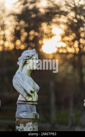 All'Haining, residenza cittadina a Selkirk, Scozia, oggi un parco di campagna e centro di arti ed eventi. Statua busto accanto al lago. Foto Stock