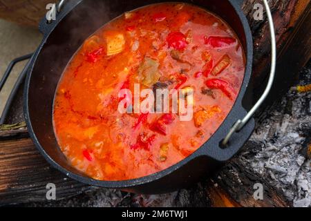 Il goulash del bollitore è preparato sopra un fuoco aperto! Foto Stock