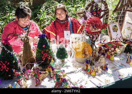 Città del Messico, Juarez Cuauhtemoc Avenida Paseo de la Reforma, Natale festa mercato artigianale mercado artesanal, alberi di Natale in miniatura, donna WO Foto Stock