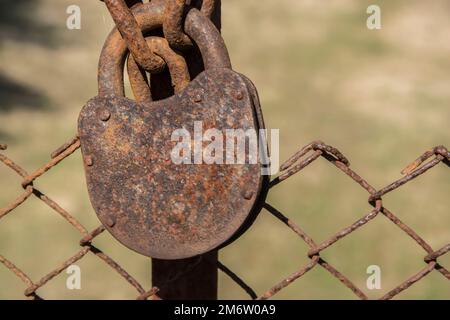 Vecchio lucchetto arrugginito alle intemperie bloccato su ferro recinto griglia closeup Foto Stock