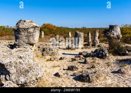 Vista della foresta di pietre di Pobiti Kamania e del deserto nella provincia di Varna in Bulgaria Foto Stock