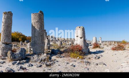 Vista della foresta di pietre di Pobiti Kamania e del deserto nella provincia di Varna in Bulgaria Foto Stock