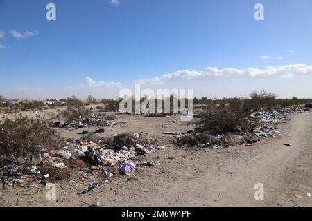 Cestino del deserto di Mojave Foto Stock