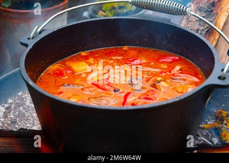 Il goulash del bollitore è preparato sopra un fuoco aperto! Foto Stock