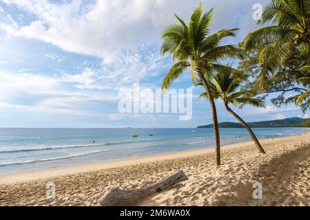 Palme durante il tramonto sulla spiaggia di Bang Tao Beach Phuket Thailandia Foto Stock