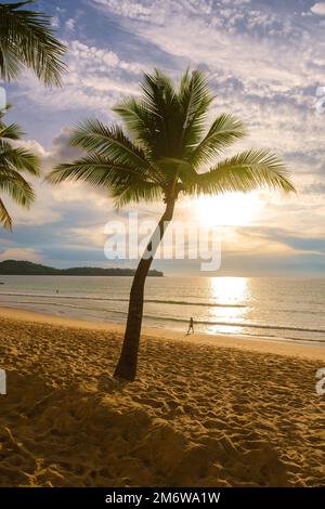 Palme durante il tramonto sulla spiaggia di Bang Tao Beach Phuket Thailandia Foto Stock