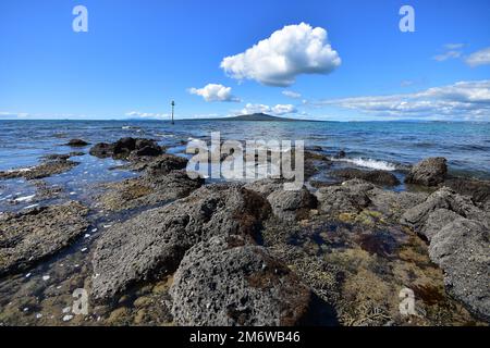 Rocce vulcaniche costiere esposte con bassa marea con l'isola del vulcano Rangitoto sullo sfondo. Ubicazione: Takapuna Auckland Nuova Zelanda Foto Stock