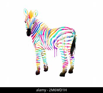 Elegante Zebra con righe colorate Foto Stock