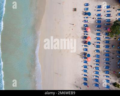 Patong Beach Phuket, vista su una spiaggia tropicale con sedie a sdraio e palme Foto Stock