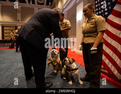 L'onorevole Carlos del Toro, Segretario della Marina, Pets Pvt. Chesty XVI, la mascotte ufficiale del corpo dei Marines, Left, e Lance Cpl. Chesty XV dopo una cerimonia di sollievo e nomina alla Marine Barracks Washington, 6 maggio 2022. Il soldato Chesty XVI sollevò Lance Cpl. Chesty XV dai suoi doveri di mascotte ufficiale del corpo dei Marines, e del Toro si congratulò con le due mascotte per la loro dedizione al corpo dei Marines. 8th & i, Ceremonial Drill, Devil Dog, English Bulldog, MBW, Foto Stock