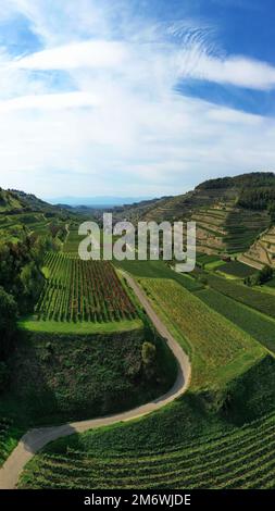 Vista aerea di Schelingen am Kaiserstuhl con vista sui vigneti. Schelingen, Voggsburg am Kaisers Foto Stock