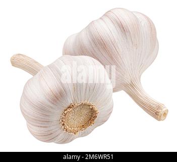 Aglio isolati su sfondo bianco Foto Stock