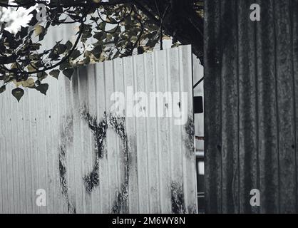 una passeggiata intorno glenn innes Foto Stock