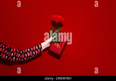 San Valentino. Le mani della donna tengono una scatola regalo rossa e una rosa rossa su uno sfondo rosso. Foto Stock