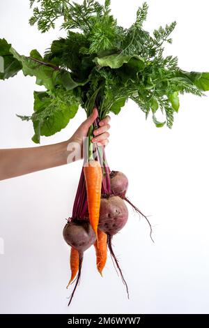 La mano di una donna tiene un mazzo di barbabietole e carote fresche su uno sfondo bianco. Raccolto di mazzo fresco. Cibo biologico sano Foto Stock