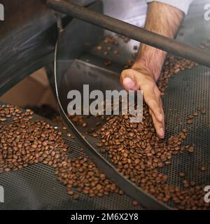 Fagioli setacciati a mano. una mano di mans setacciare i chicchi di caffè in un macinacaffè. Foto Stock