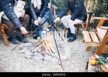 Amici in abiti caldi arrostire marshmallows su bastoni e chiacchierare mentre si siede intorno al fuoco Foto Stock