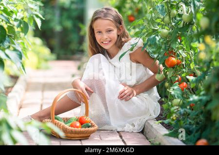 Adorabile ragazza che raccoglie verdure in serra. Ritratto di capretto con cestino pieno di verdure Foto Stock