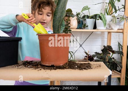 La bambina si prende cura felicemente delle piante domestiche, le trasforma in un nuovo terreno e vaso, abbraccia la succulente sanivieria, epifia Foto Stock