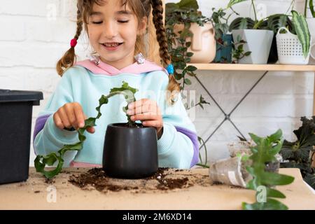 La bambina si prende cura felicemente delle piante domestiche, le trasforma in un nuovo terreno e vaso, abbraccia la succulente sanivieria, epifia Foto Stock