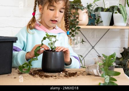 La bambina si prende cura felicemente delle piante domestiche, le trasforma in un nuovo terreno e vaso, abbraccia la succulente sanivieria, epifia Foto Stock