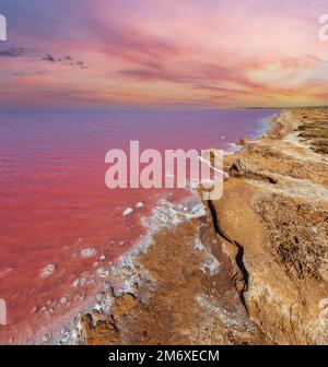 Lago di Syvash rosa estremamente salato, colorato da microalghe con deposizioni cristalline di sale. Conosciuto anche come il mare di Putrid o Rotte Foto Stock