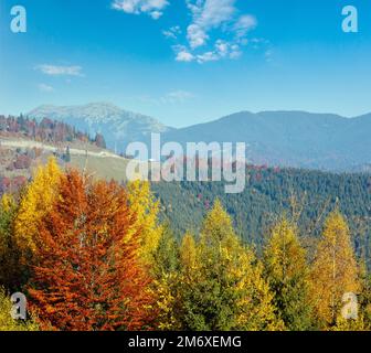 Mattina piste autunnali (con alberi colorati) di Carpazi (Passo Yablunytskij, oblast Ivano-Frankivsk, Ucraina). Vista su Gorgany Foto Stock