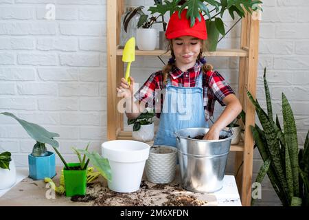 Ragazza trapianta un filodendro di pianta domestica in vaso in un nuovo terreno con drenaggio. Cura delle piante in vaso, irrigazione, fertilizzazione, mano Foto Stock