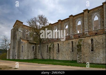 Visita all'abbazia abbandonata di San Galgano Foto Stock