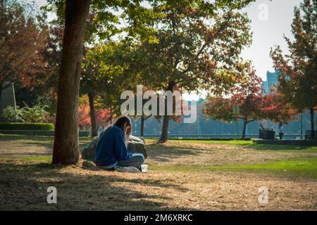 Una donna vista da dietro, seduta sotto un albero in un parco verde in una giornata di sole Foto Stock