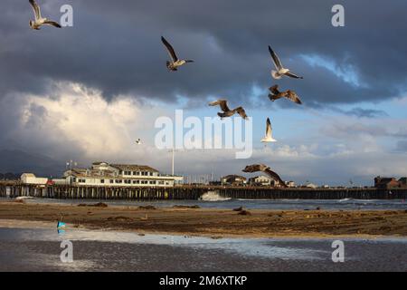 Santa Barbara, California, Stati Uniti 6th Gen, 2023. Gabbiani di mare in primo piano e Stearns Wharf, sullo sfondo sotto un meraviglioso cielo dopo-pioggia-tempesta. Il 5th gennaio intorno alle 4:00pm PST. Surfisti locali, marinai e amanti della natura si sono recati al mare per approfittare della straordinaria bellezza del surf e della break sotto la pioggia, ma sono stati scortati dal molo quando le onde giganti sono diventate troppo minacciose per auto e persone. (Credit Image: © Amy Katz/ZUMA Press Wire) Foto Stock