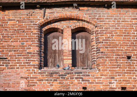 Finestre a due piazze con archi (e due colombe) nel muro di mattoni rossi della storica chiesa di Rehna, l'architettura gotica in mattoni era comune a nort Foto Stock