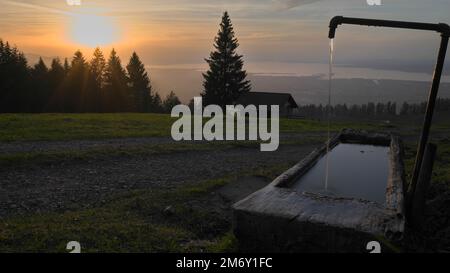 Tramonto sulla montagna con raggi di sole che splende attraverso abeti e pozzo di legno di fronte e il Lago di Costanza sullo sfondo a Dornbirn, Vorarlberg, Foto Stock