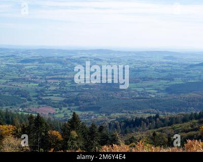 Vista panoramica del Mont Beuvray nel Morvan.Saint-Leger-sous-Beuvray, Francia. Magnifica vista. Bibracte in Morvan. Paesaggio con albero. Panorama. Foto Stock