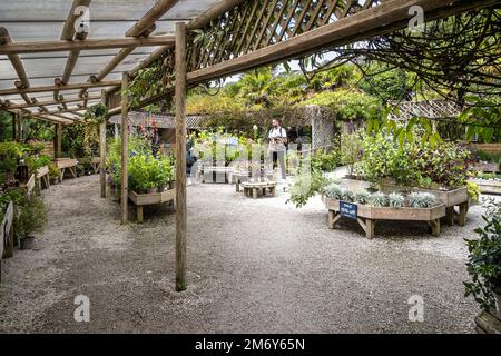 Clienti che acquistano impianti presso il centro di Trebah Gardens in Cornovaglia nel Regno Unito. Foto Stock