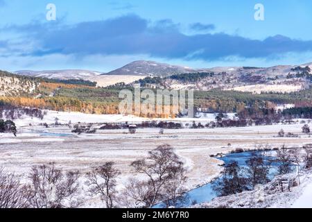 Braemar Scozia Linn of Dee guardando attraverso la valle coperta di neve verso Braemar in inverno Foto Stock