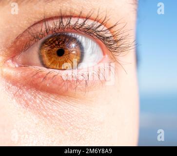 macro fotografia di un occhio femminile. Struttura dell'occhio umano. pupilla oculare. Ciglia umane. Primo piano occhio marrone. Sfondo dell'occhio. Foto Stock