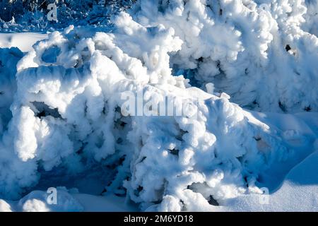 Rami di un albero completamente coperto di brina di bue in una giornata di sole nei Monti di ore. Foto Stock