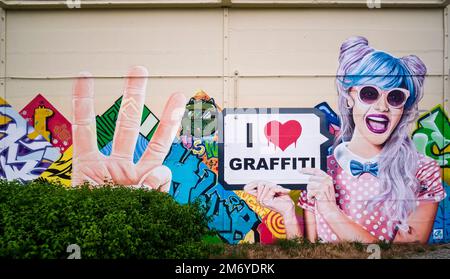 Coloratissimo graffiti con il ritratto di una giovane donna che dice che amo i graffiti, dipinto su un muro nel sobborgo di Lipsia Mitte. Foto Stock