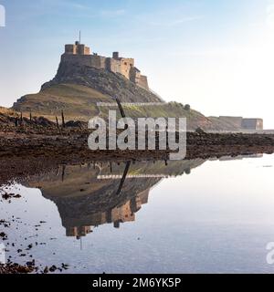 Giorno Vista estiva del Castello di Lindisfarne, Holy Island, Northumberland, Inghilterra, Regno Unito Foto Stock